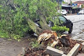 Temporal deixa estragos e casas destelhadas durante a tarde no Norte do Estado