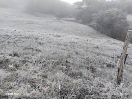 Quando termina a onda de frio no Rio Grande do Sul? Ainda pode nevar? Veja previsão